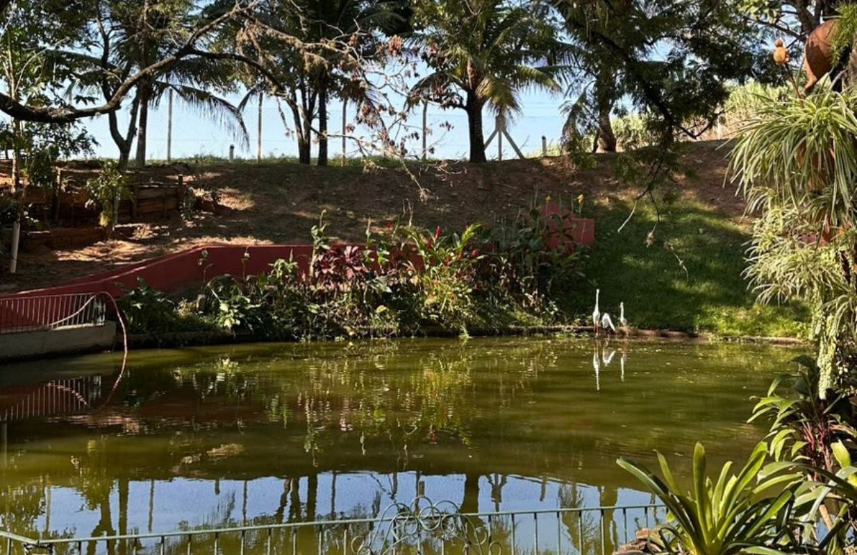 Estrutura Completa