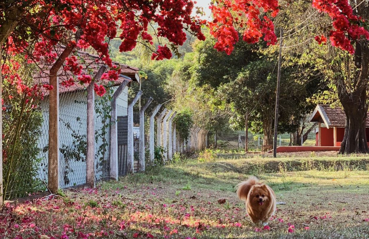 Natureza e Paisagens