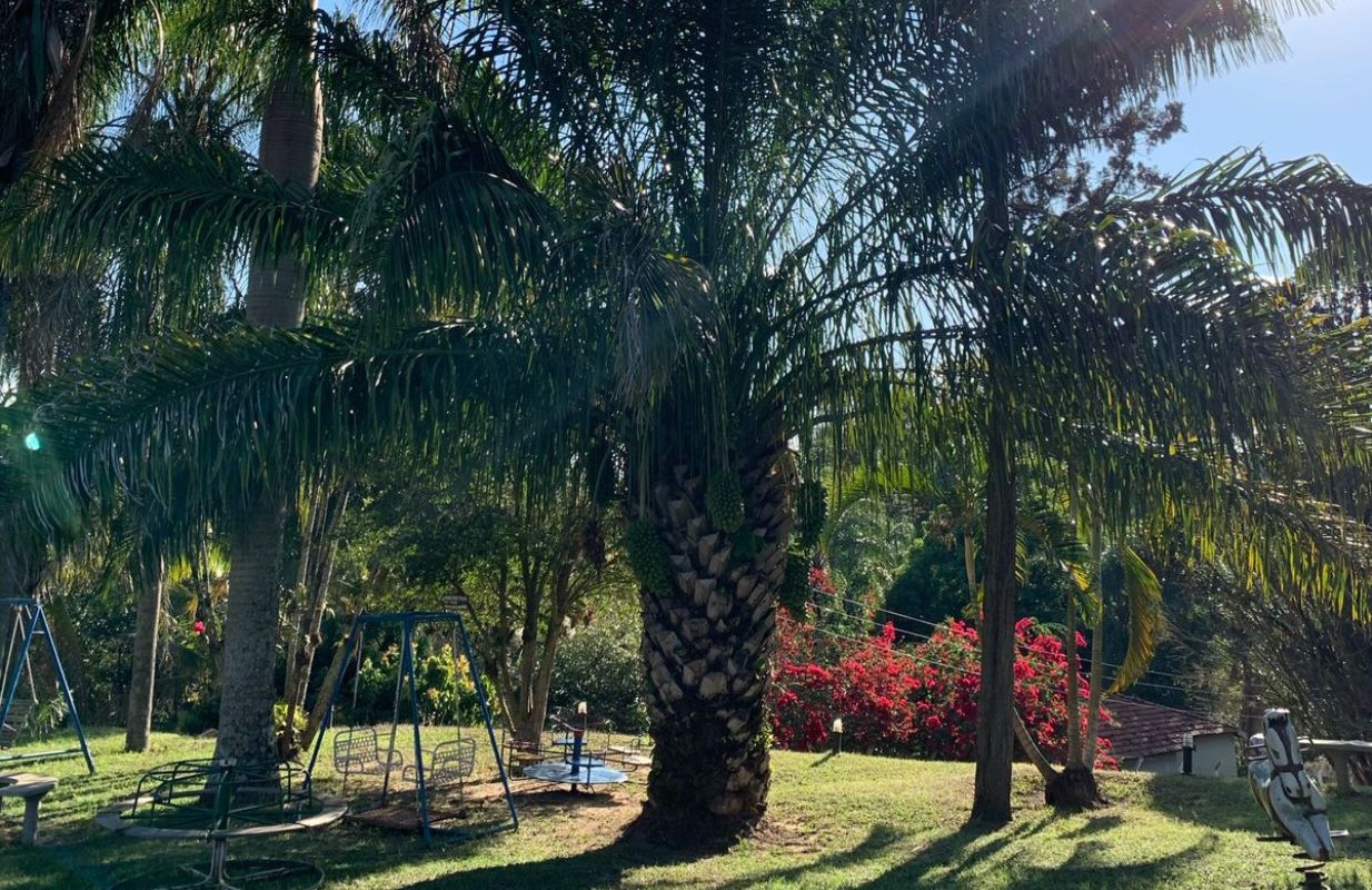 Natureza e Paisagens