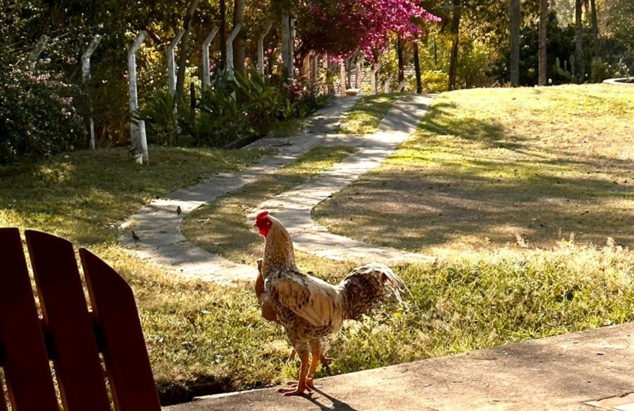 Natureza e Paisagens
